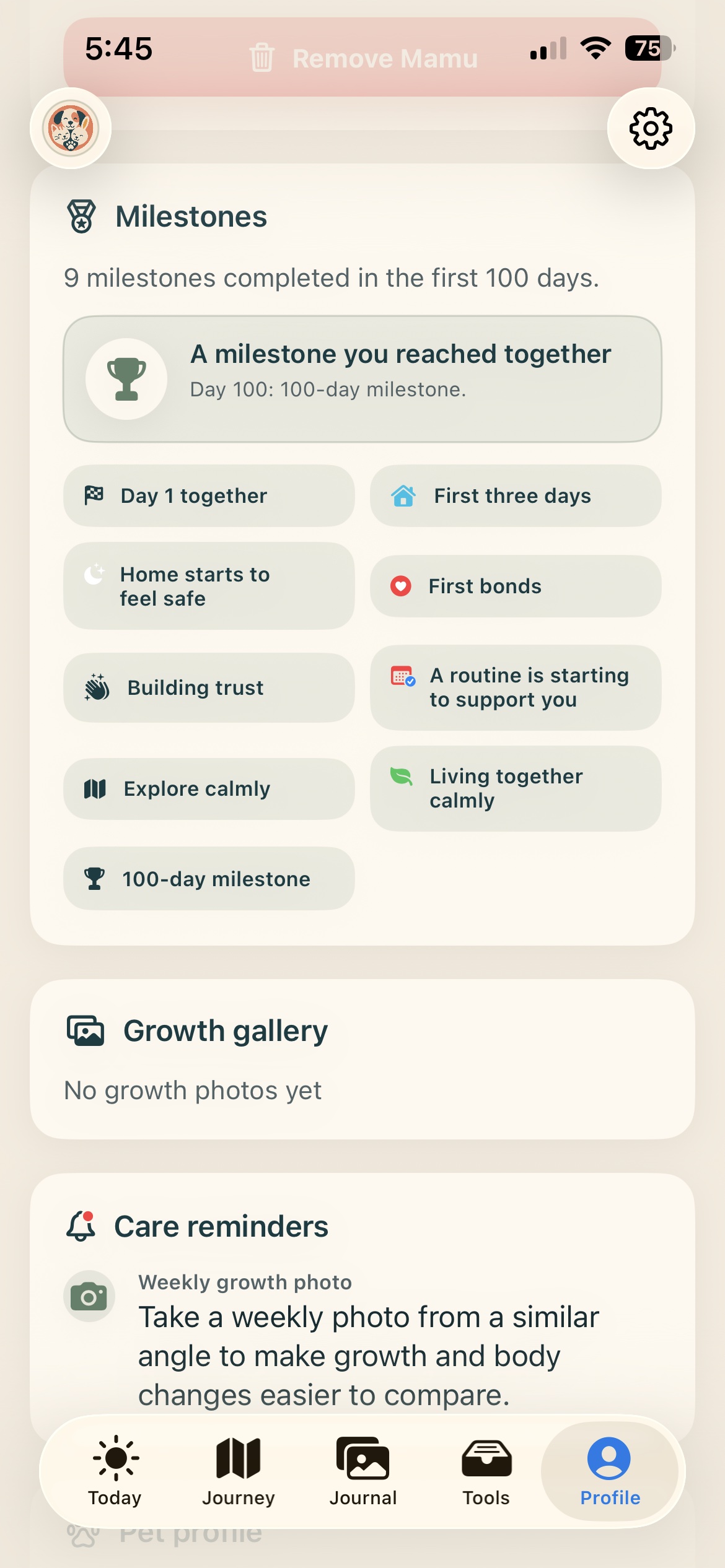 Dentro de la app: Perfil e hitos