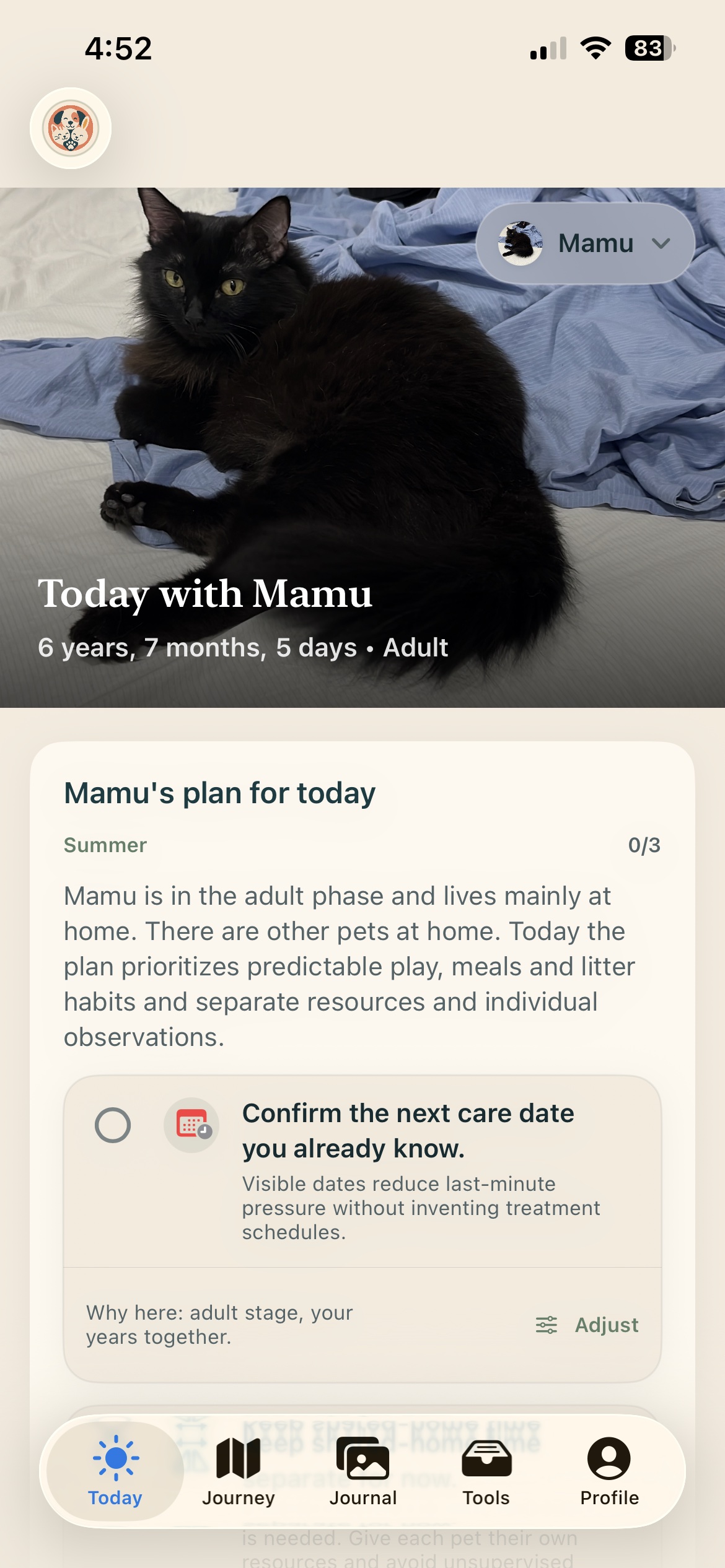 Daily plan — Nuzzleway