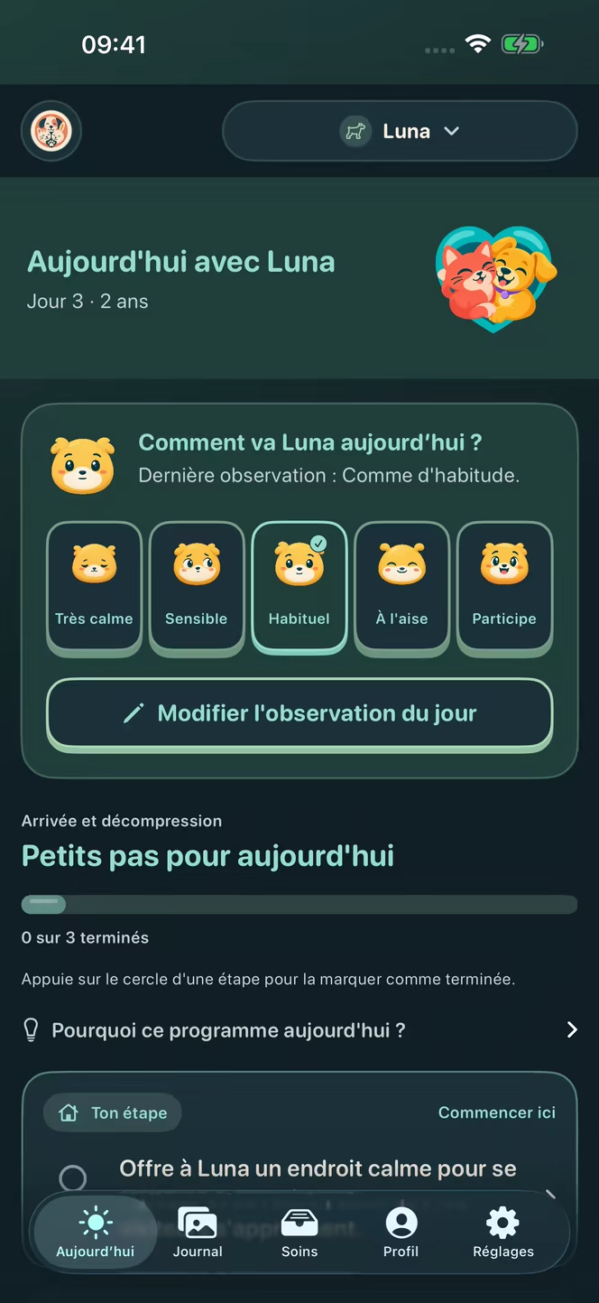 Vue française de l’observation quotidienne dans Nuzzleway avec une note sur l’humeur de Luna, chien fictif