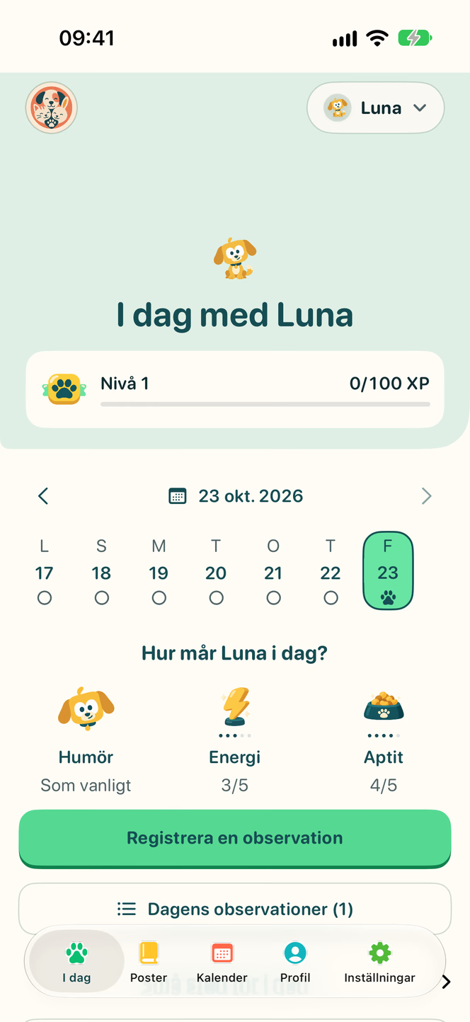 Vyn I dag i Nuzzleway med ett demonstrationsdjur.