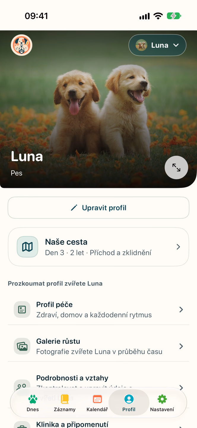 Profil a milníky — Nuzzleway
