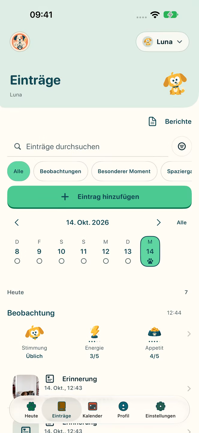 Aufzeichnungen in Nuzzleway mit Demodaten.