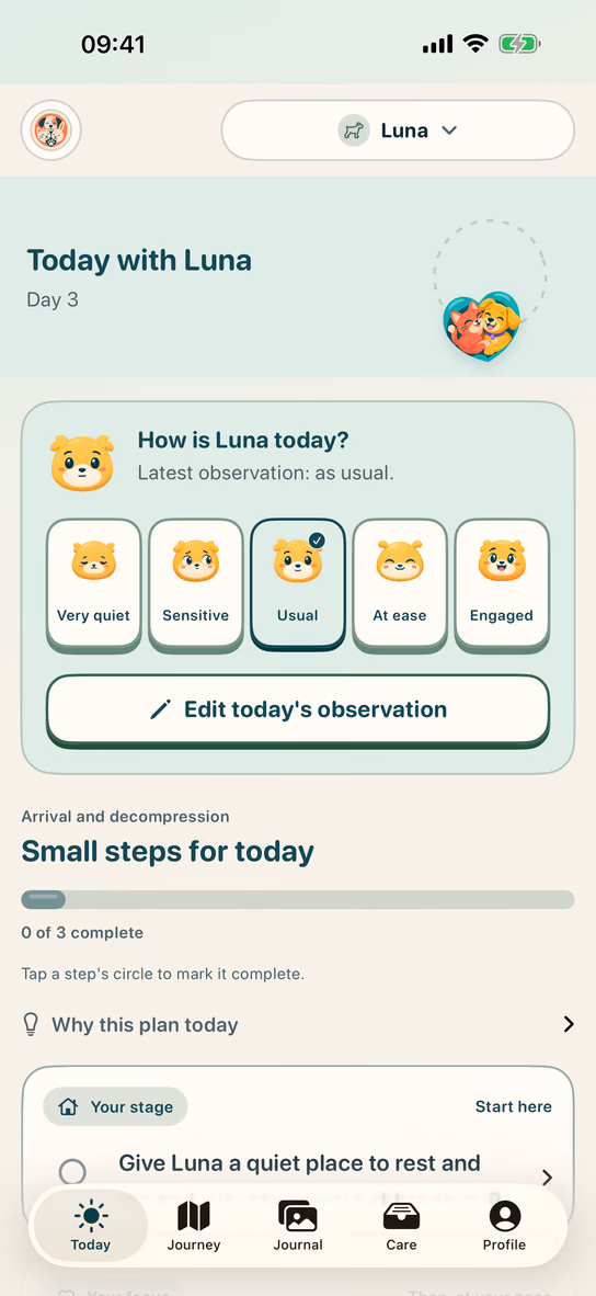 A pet’s daily plan in Nuzzleway