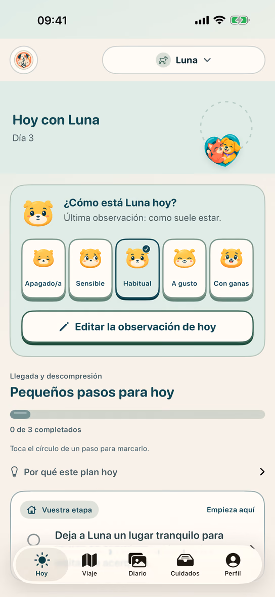 Plan diario de una mascota en Nuzzleway