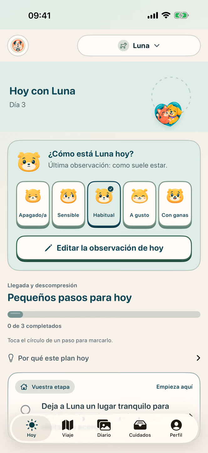 Plan diario — Nuzzleway