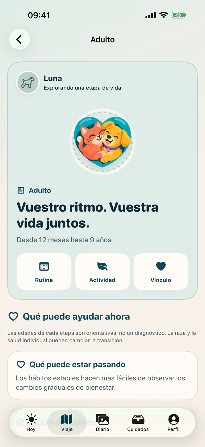 Etapas de vida — Nuzzleway