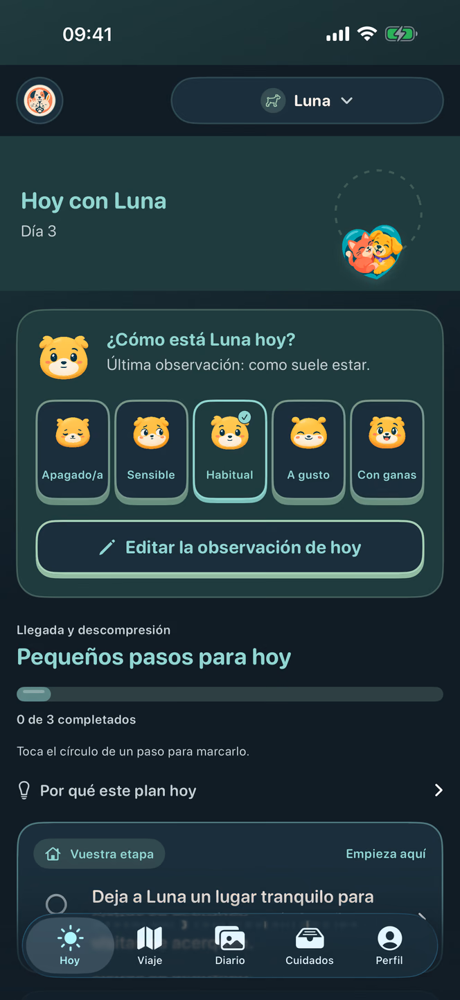 También al caer la noche — Nuzzleway