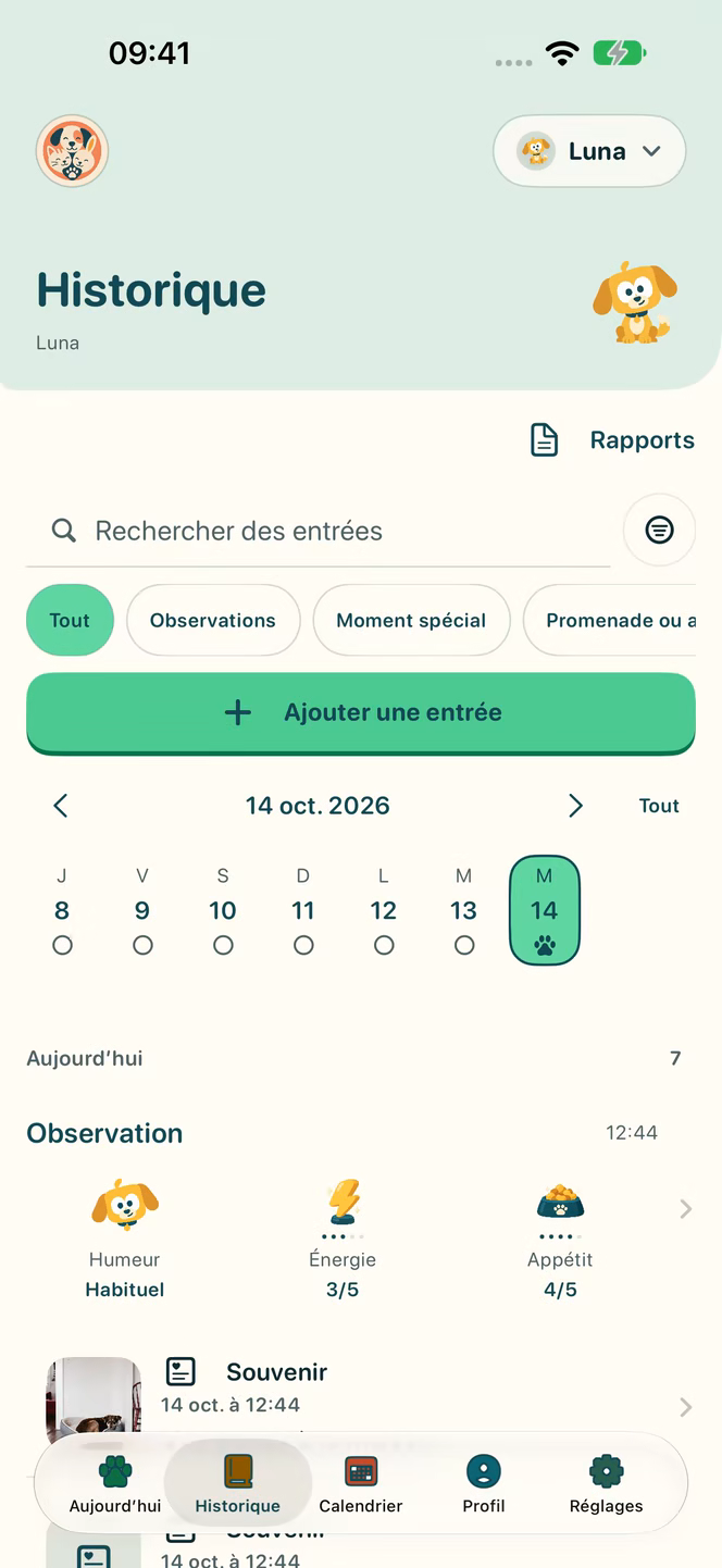 Les relevés de Nuzzleway avec des données de démonstration.