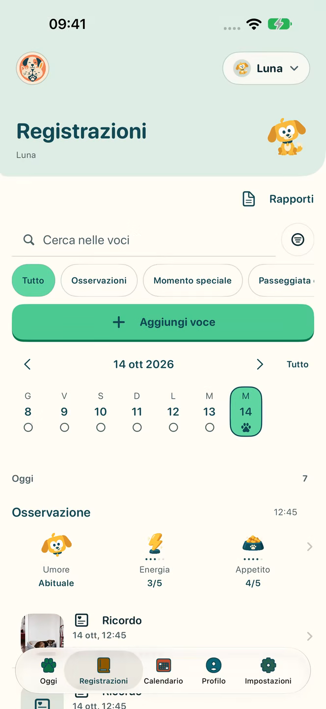 Registrazioni in Nuzzleway con dati dimostrativi.