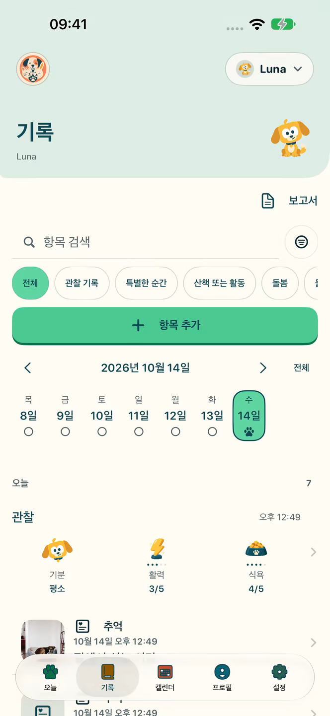 데모 데이터를 사용한 Nuzzleway 기록 화면.