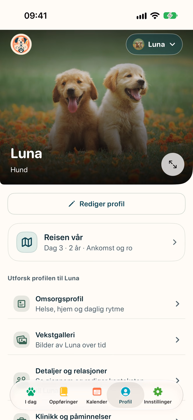 Profil og milepæler — Nuzzleway