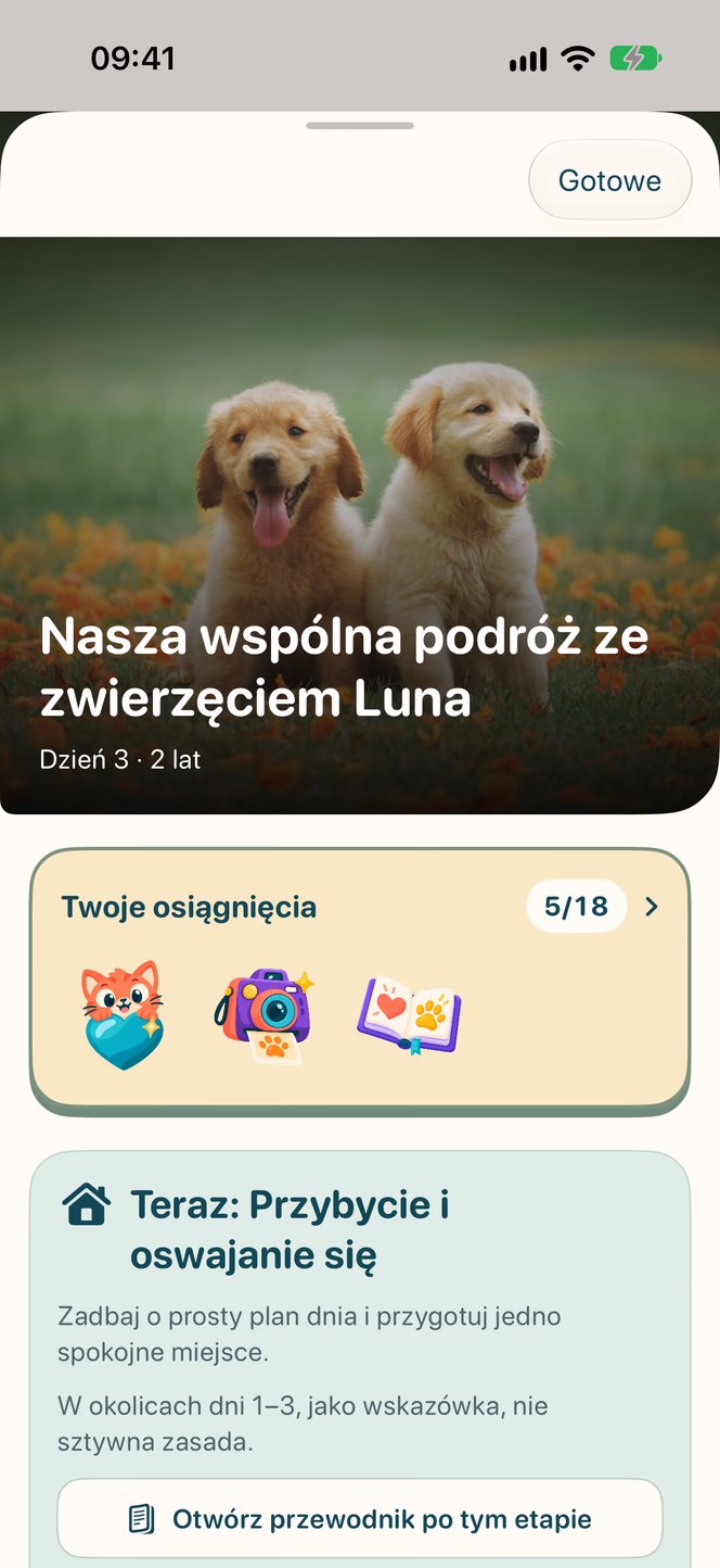 Etapy życia — Nuzzleway
