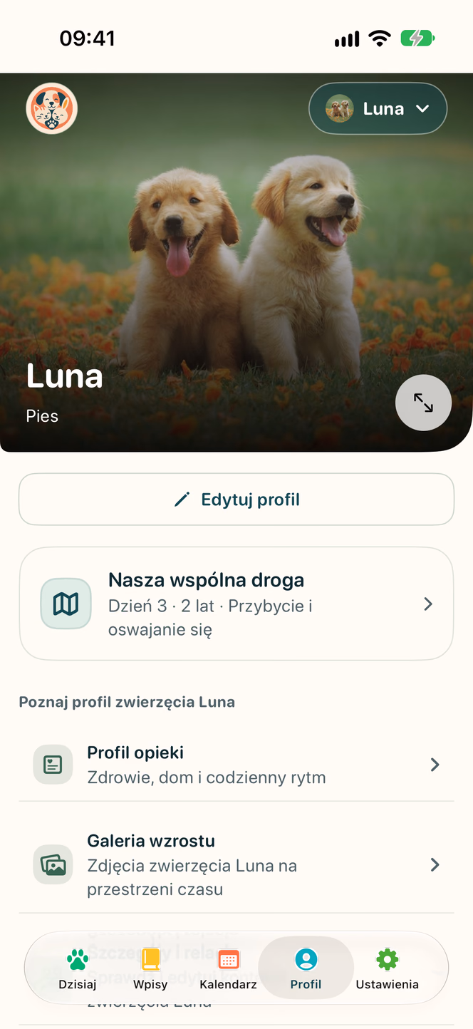 Profil i ważne momenty — Nuzzleway