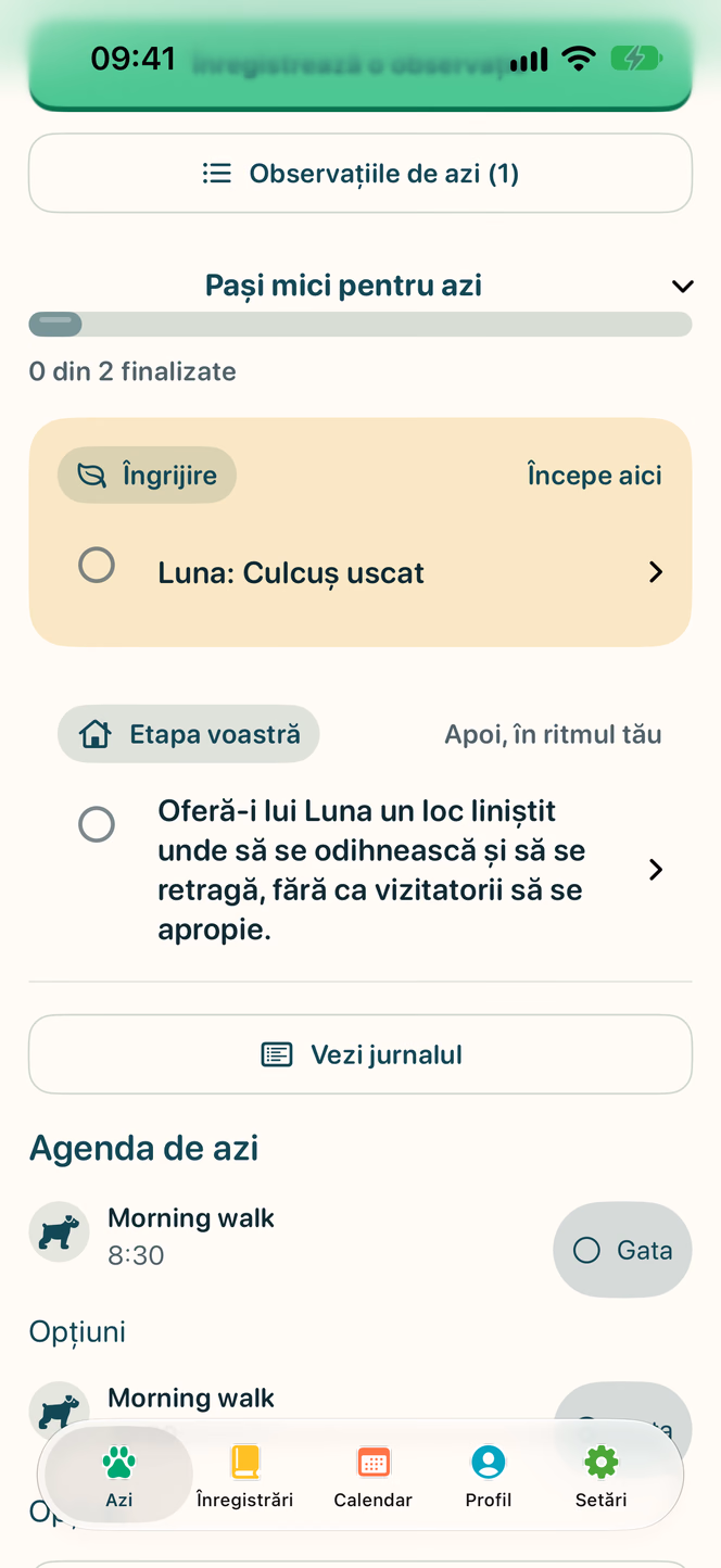 În aplicație: Plan zilnic