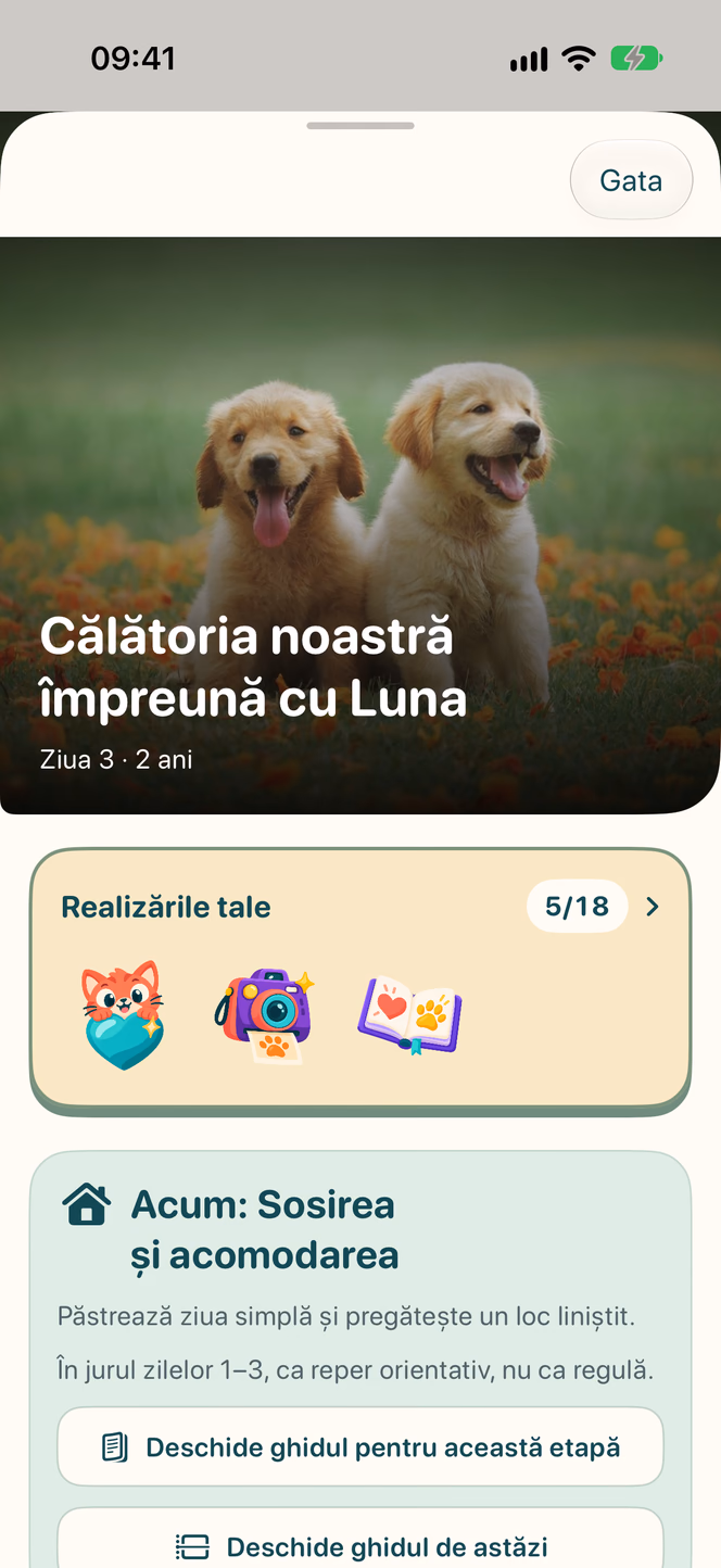 Etapele vieții — Nuzzleway