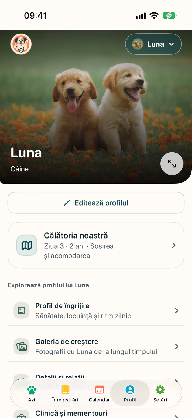Profil și etape importante — Nuzzleway