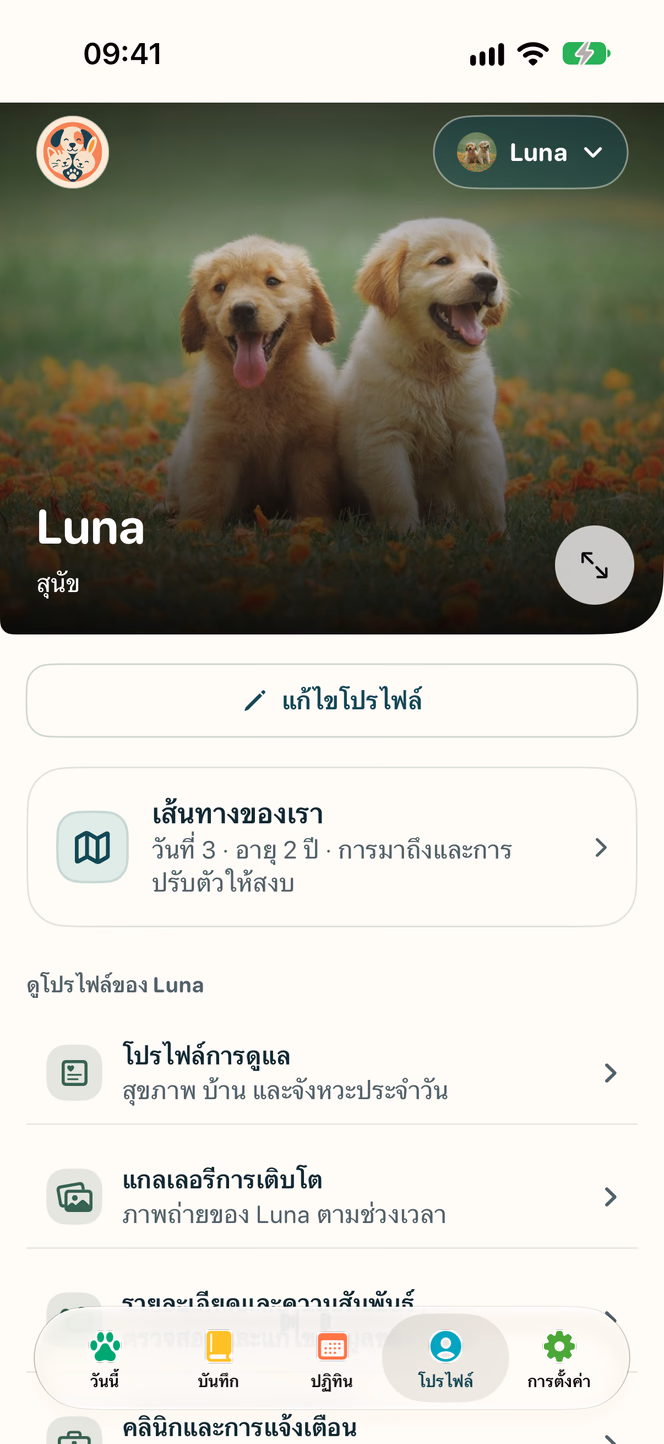 โปรไฟล์และหมุดหมาย — Nuzzleway
