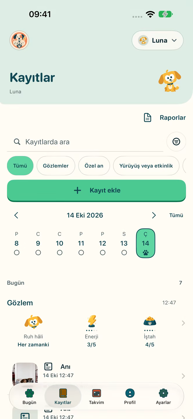 Gösterim verileriyle Nuzzleway kayıtları.