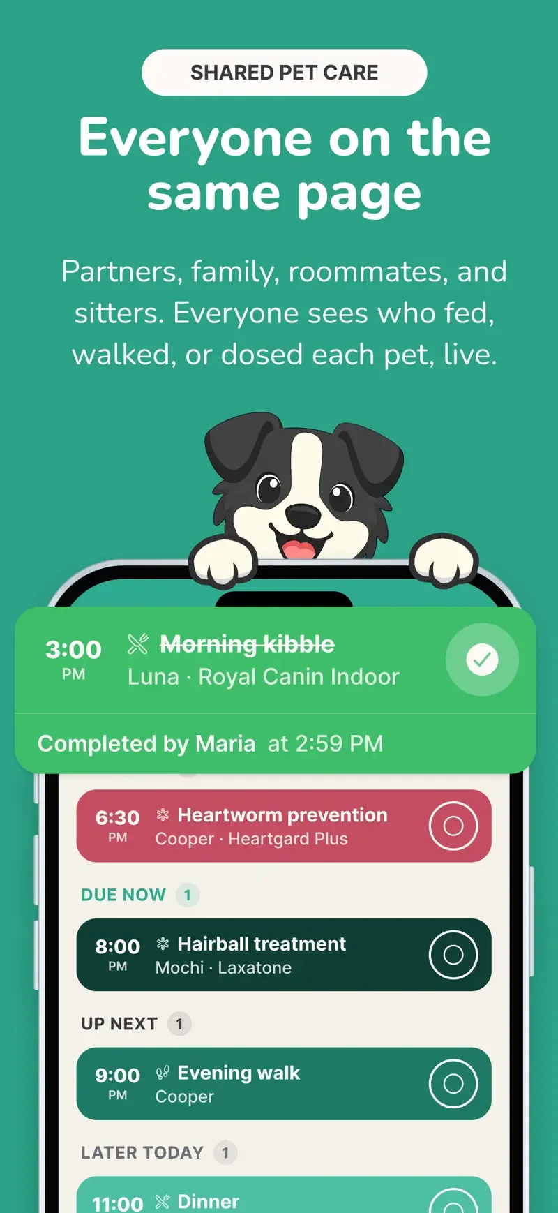 Collie: care tasks