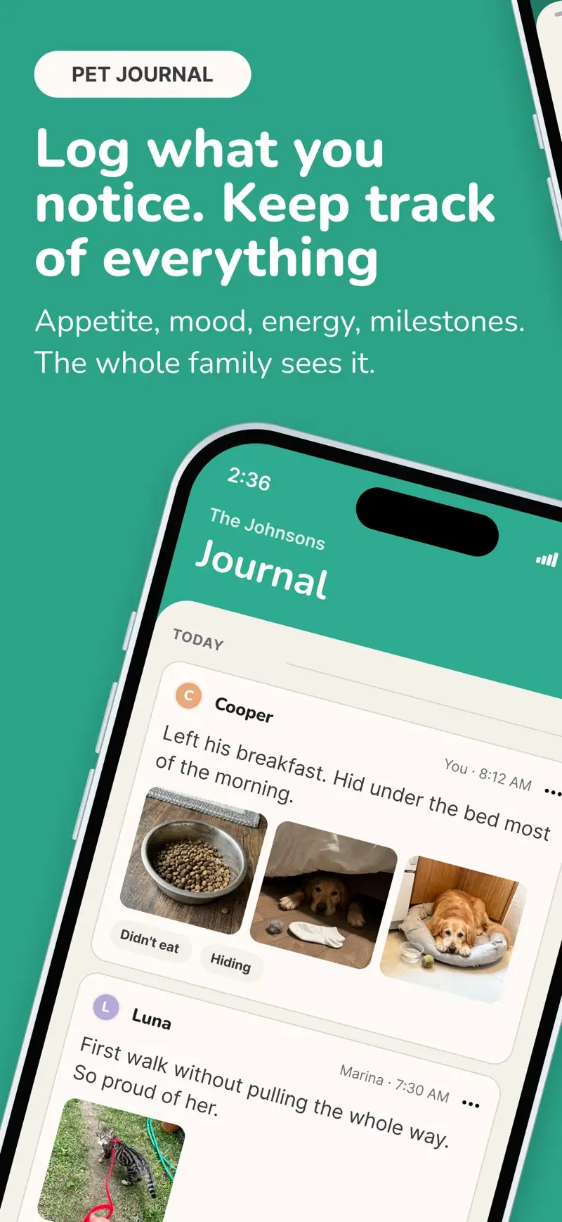 Collie: shared journal