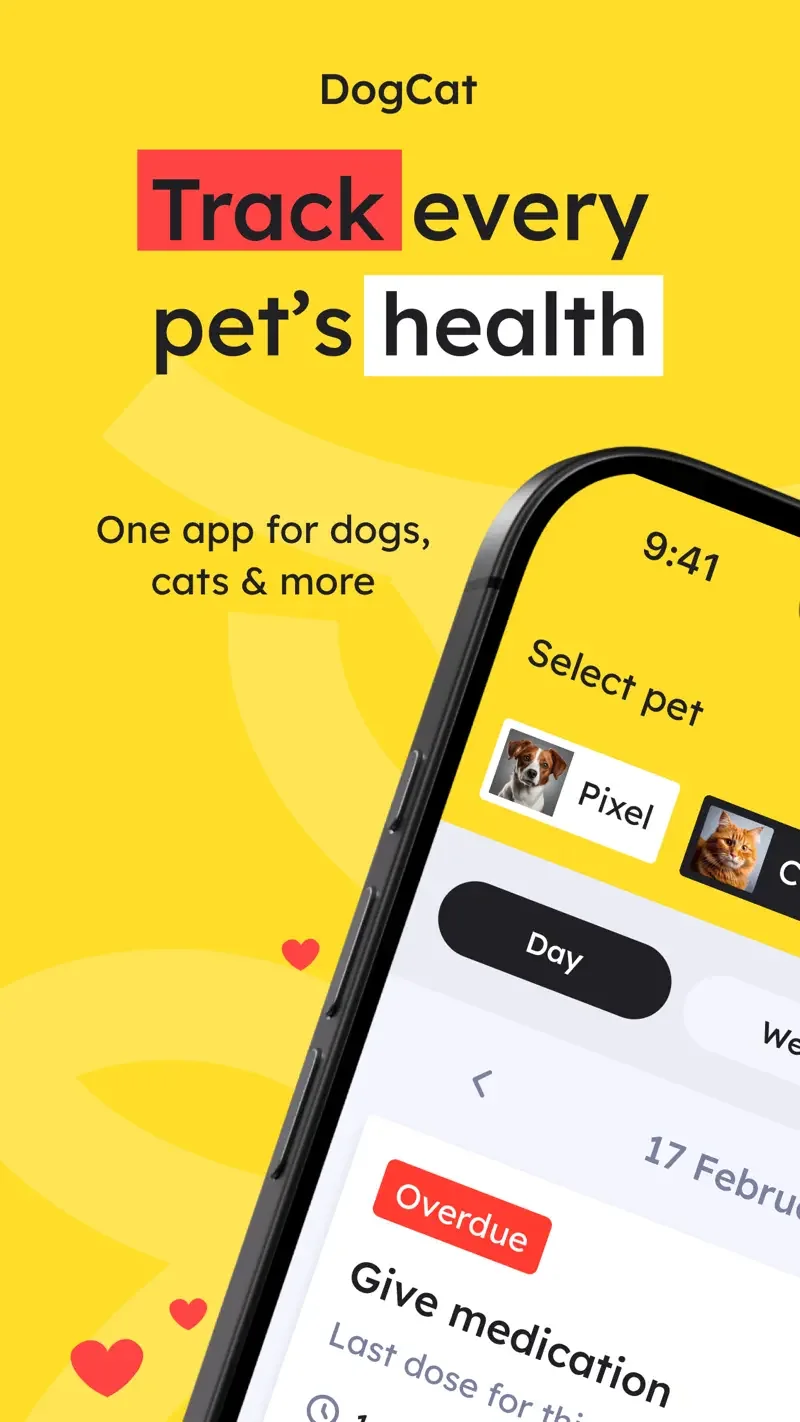 DogCat: pet care overview