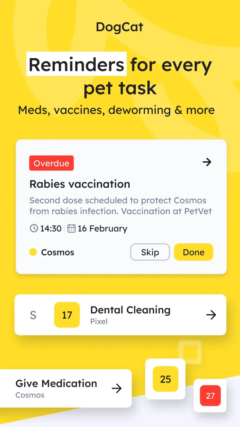 DogCat: care tasks